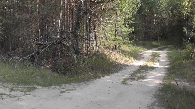 Дорога вдоль болот и глухих деревень: Поездка в Савинский район Ивановской области смотреть онлайн