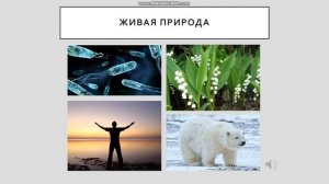 Урок окружающего мира "Живая и неживая природа"