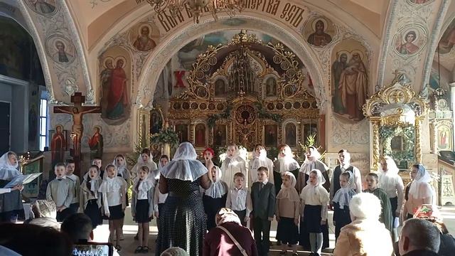 "В ночном саду" смотреть онлайн