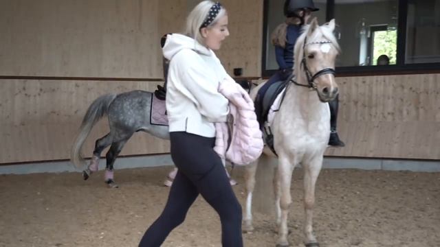 NEW ARRIVAL AT THE BARN! DRESSAGE PONY! - FIRST EVER FLYING CHANGE! *WOW* смотреть онлайн