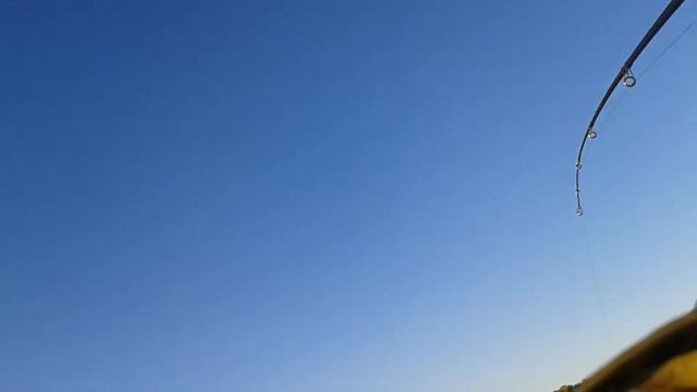 Рыбалка Астрахань осень 2018. смотреть онлайн