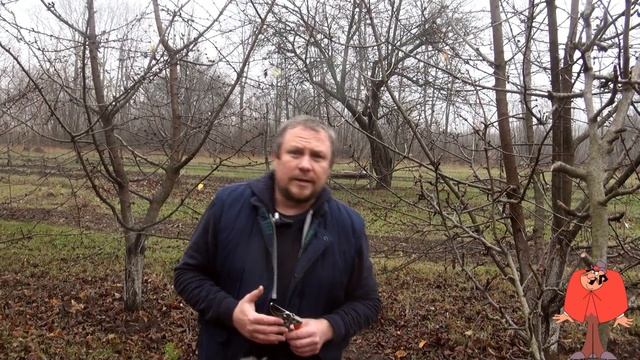 План посадки деревьев на участке повысит урожаи! Как? План сада