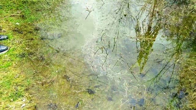 Северо крымский канал; Детский пляж Армянска который уже почищен. смотреть онлайн