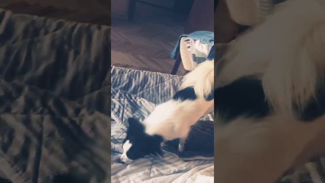 Когда заигрываешь со своим парнем смотреть онлайн