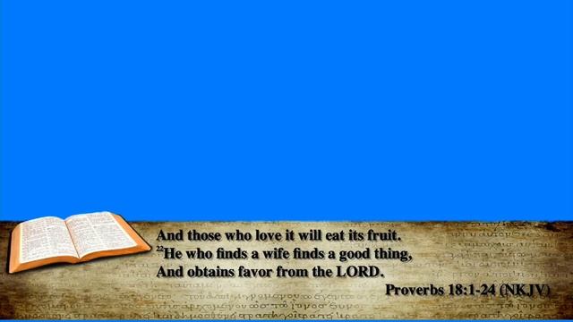 THE ORACLE Live Stream смотреть онлайн