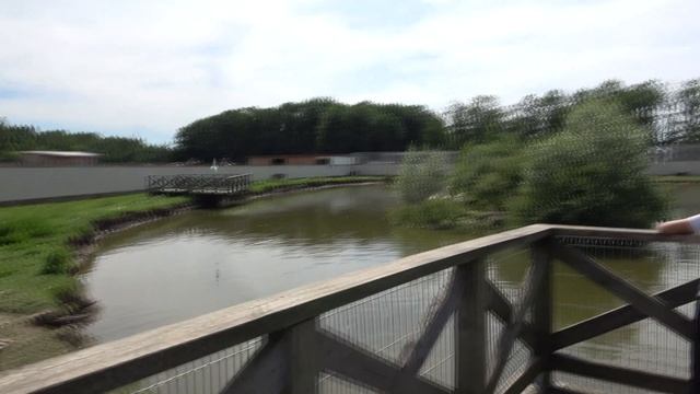 Mini Zoo, Литва , Клайпеда: лучшие советы перед посещением - TripAdvisor смотреть онлайн