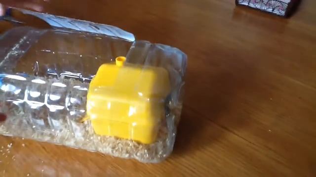 Переносной домик для хомяка смотреть онлайн