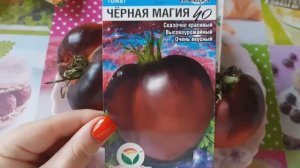 Удивительный томат Черная магия от Сибирского сада.