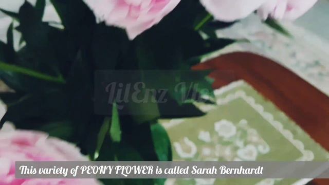 Peonies смотреть онлайн