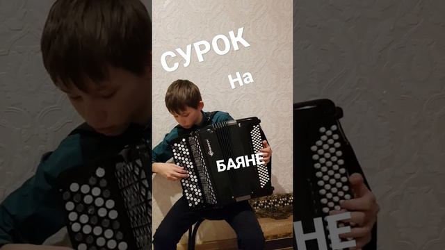 СУРОК НА БАЯНЕ смотреть онлайн