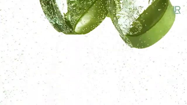 Lr Aloe Vera Nutri Repair Haarpflege Set смотреть онлайн
