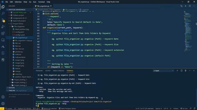 File Organizer | Software Engineering Course's Project смотреть онлайн