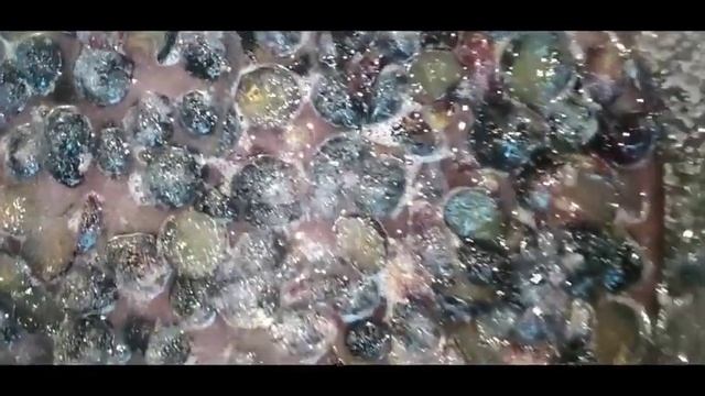 ВАРЕНЬЕ ИЗ ВИНОГРАДА смотреть онлайн