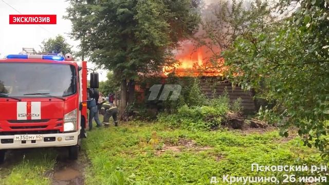 Хозпостройка и кровля жилого дома горят в Псковском районе смотреть онлайн