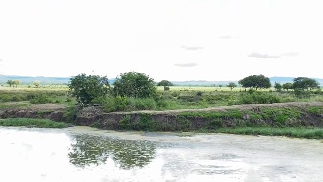 MIKUMI NATIONAL PARK- virtual Trip for students смотреть онлайн