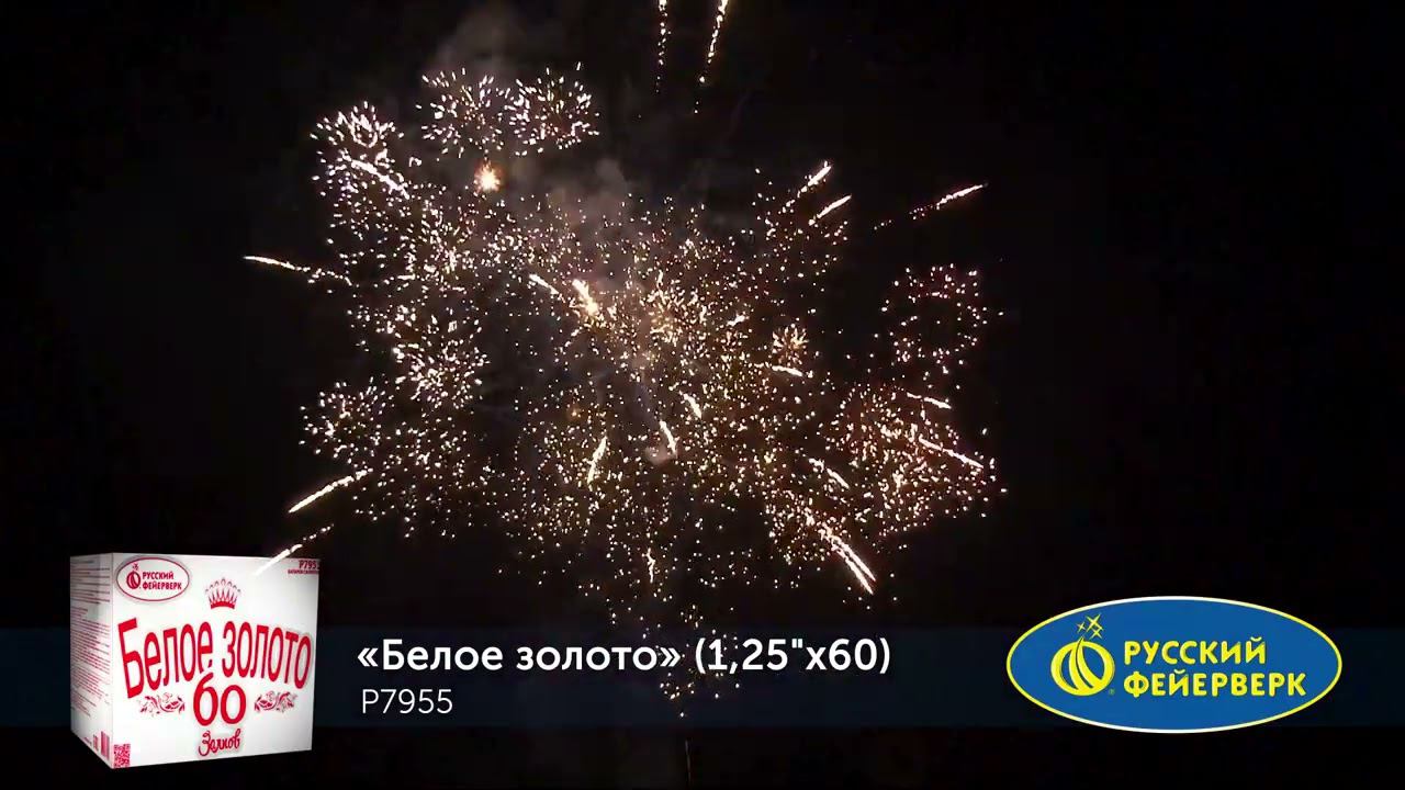 P7955 смотреть онлайн