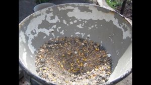 Готовим КОРМ ДЛЯ ПЕРЕПЕЛОВ Своими Руками.  Разведение перепелов в домашних условиях. Комбикорм.