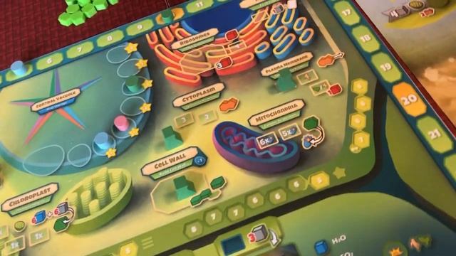 Cellulose: A Plant Cell Biology Game: Updated Overview (Kickstarter Launch on April 13th, 2021) смотреть онлайн