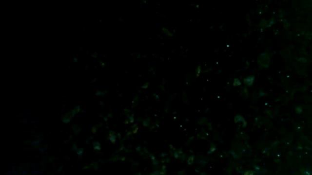 Берег моря в ночи 1 смотреть онлайн