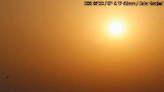 [EOS 850D 4K MOVIE] 일상부터 브이로그까지 완벽한 시작 смотреть онлайн