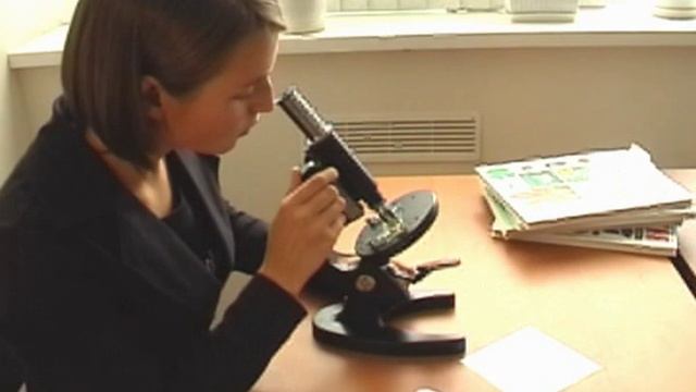 Правила работы с микроскопом смотреть онлайн