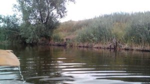 РЫБАЛКА НА ВЕРШИ!!!