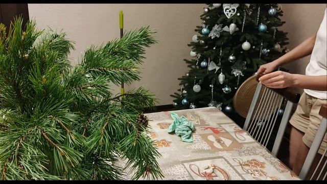 Vlog/ Мои домашние хлопоты/ Чистим матрас/ Подробный обзор пылесоса Bosch Unlimited 6 смотреть онлайн