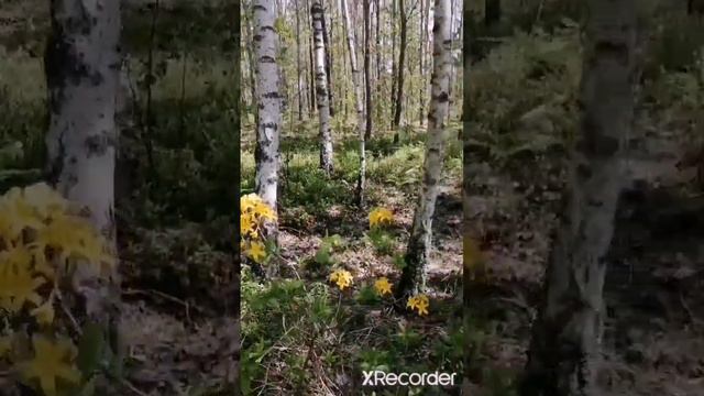 Кое что из моей личной жизни смотреть онлайн