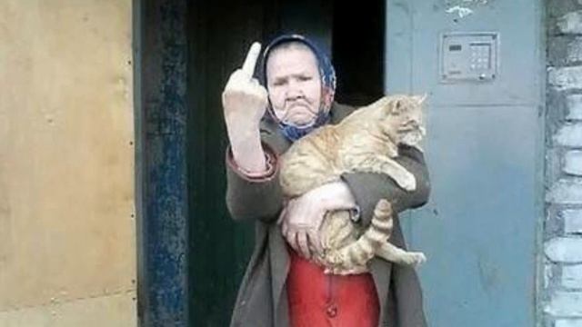 А быстро лишь кошки родятся смотреть онлайн