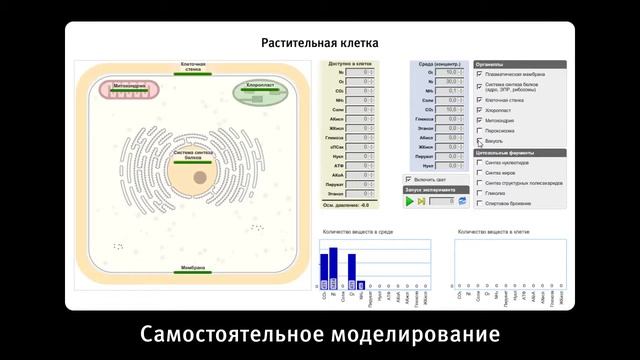 1С:Биологический конструктор 1.5 - демо смотреть онлайн