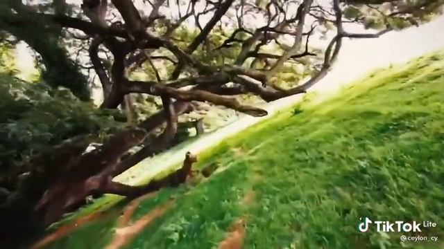 kurunegala sri lanka. смотреть онлайн