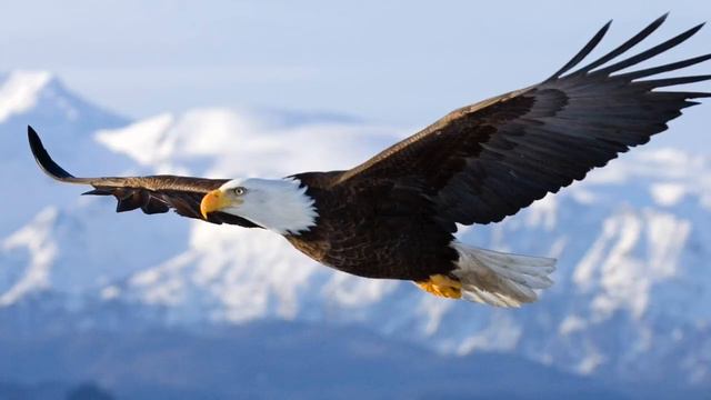 Hotel California (Eagles), piano instrumental, solo, by Markus Ulbrich, D-81241 München смотреть онлайн