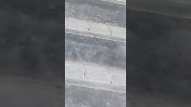 Парк в Гомеле. Подьем с набережной ко дворцу Паскевичей. смотреть онлайн