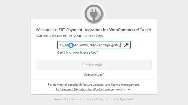 Installing Pay Now Direct's Online EBT Payment Plugin - Wordpress смотреть онлайн