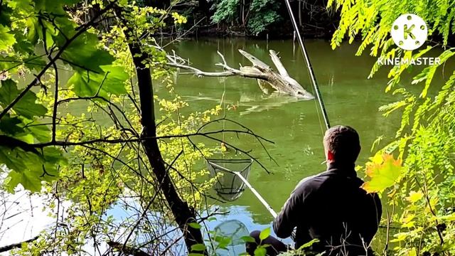 ЛИНЬ НА МАНКУ В ПОЛЬШЕ смотреть онлайн