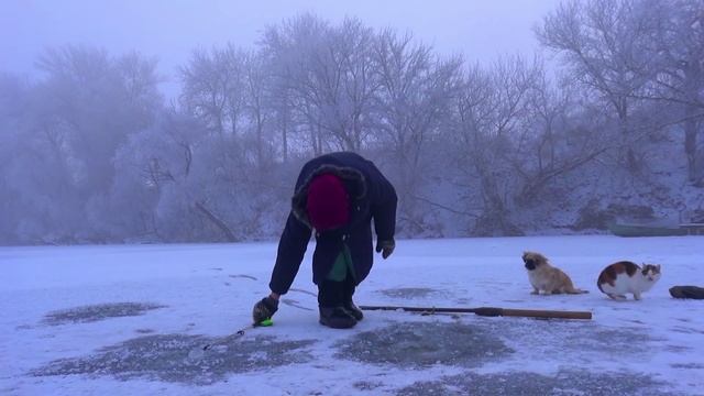 Рыбалка зимой от Михалыча. В поисках активной рыбы. Бабуля ловит окуней смотреть онлайн
