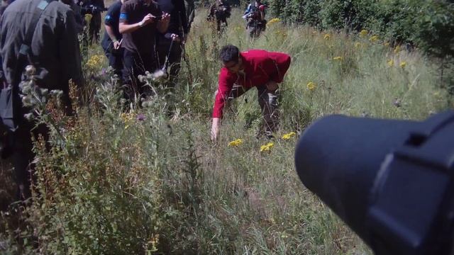 How to blow up an Ants nest with a flashbang grenade - Part 1 смотреть онлайн