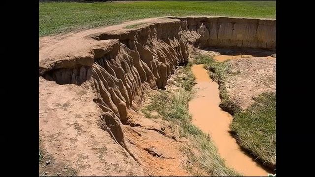 Почвенные реcурcы России. География 8 класс. смотреть онлайн