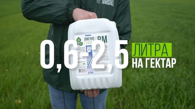 Как использовать лигногумат для внекорневых подкормок и обработок совместно с пестицидами смотреть онлайн