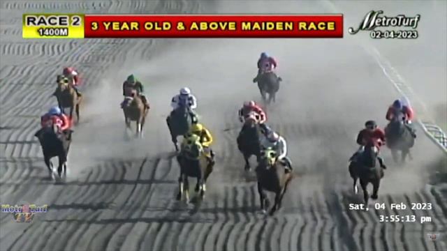GRAND MAJESTY RACE FEBRUARY 4 2023 jl paano смотреть онлайн