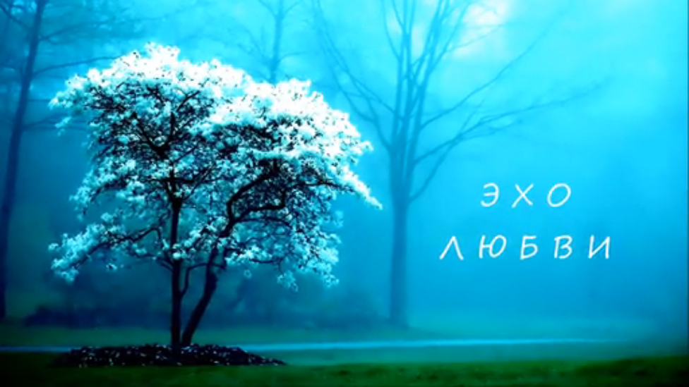 ЭХО ЛЮБВИ -Д.Ахмадиева & И.Бреусов смотреть онлайн