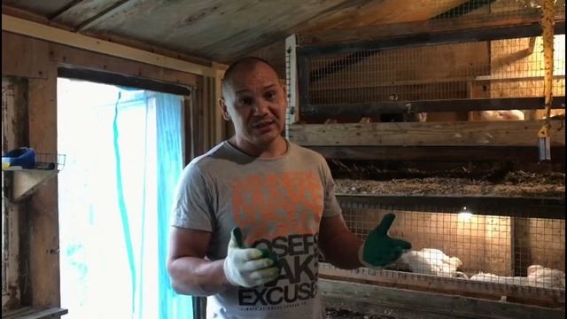 Нюансы содержания БРОЙЛЕРОВ на ПЛЕМЯ. Важно! смотреть онлайн