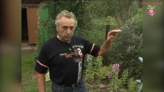 Идеи ландшафтного дизайна дачного участка #urozhainye_gryadki смотреть онлайн