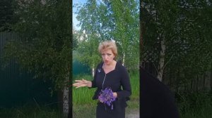 Самовольно спилить дерево у дома можно? Ответ здесь!