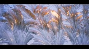 Для детей. Что такое морозные узоры на окнах