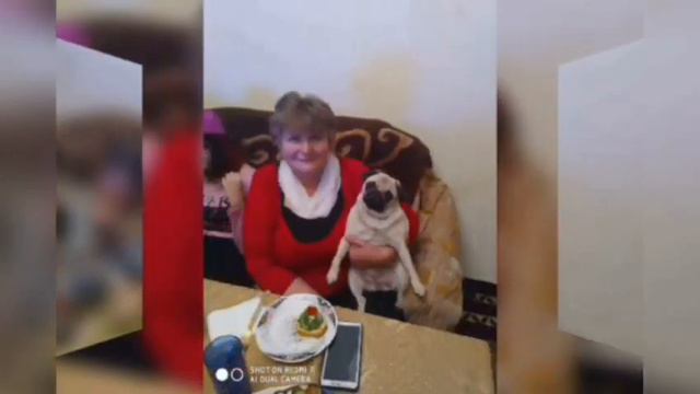 #MANASTVПРЕДСТАВЛ СЧАСТЛИВОГО НОВОГО ГОДА.