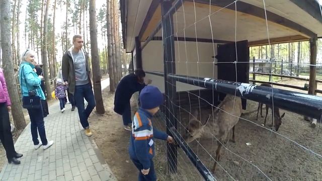 В некотором царстве смотреть онлайн