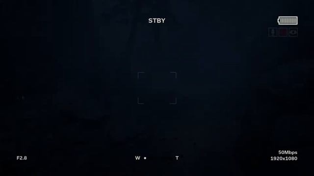 Прохождение Outlast 2 ▌ПАДЕНИЕ ▌ Часть 1 смотреть онлайн