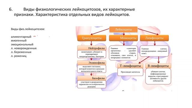 Экзамен по физиологии | КРОВЬ смотреть онлайн