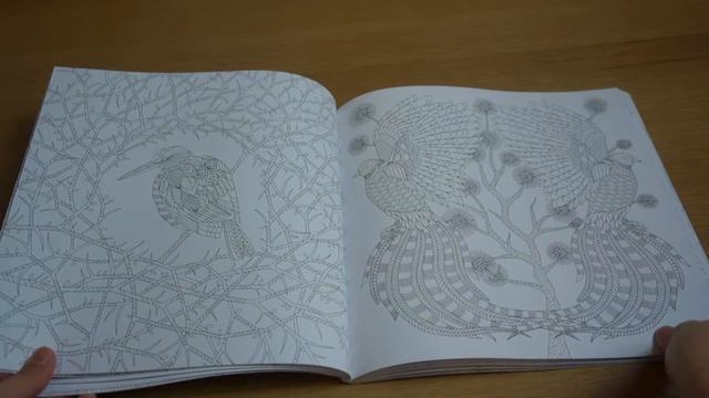 Millie Marotta's Wild Savannah Colouring Book Flip Through/Preview смотреть онлайн